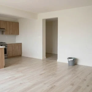 Move-Out Clean